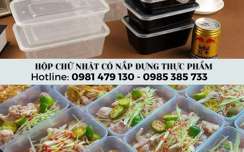 Hộp nhựa chữ nhật có nắp dùng 1 lần giá sỉ có đủ size 500ml - 1000ml Tại HCM