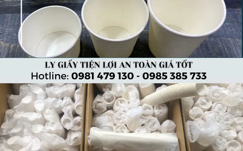 Ly giấy trắng trơn giá rẻ, chất lượng tốt tại TpHCM