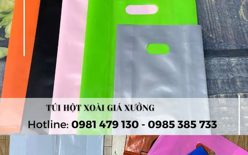 Mua túi hột xoài đẹp, đựng hàng thời trang - chất lượng - giá xưởng sản xuất