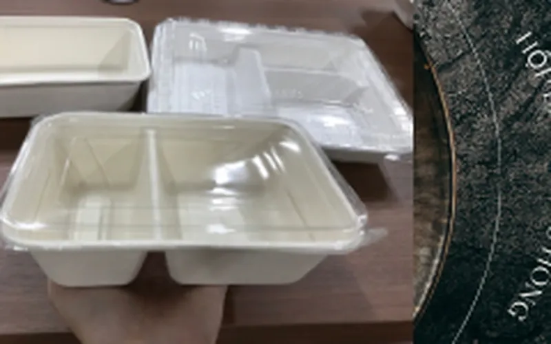 Đơn Vị Chuyên Sỉ Hộp Bã Mía Đựng Cơm Tại TpHCM