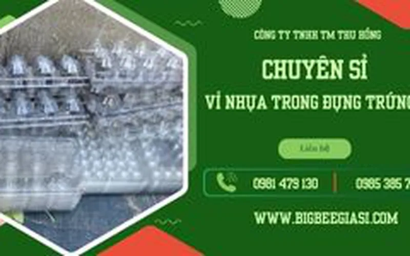 Vỉ nhựa đựng trứng cút giá rẻ tại TpHCM