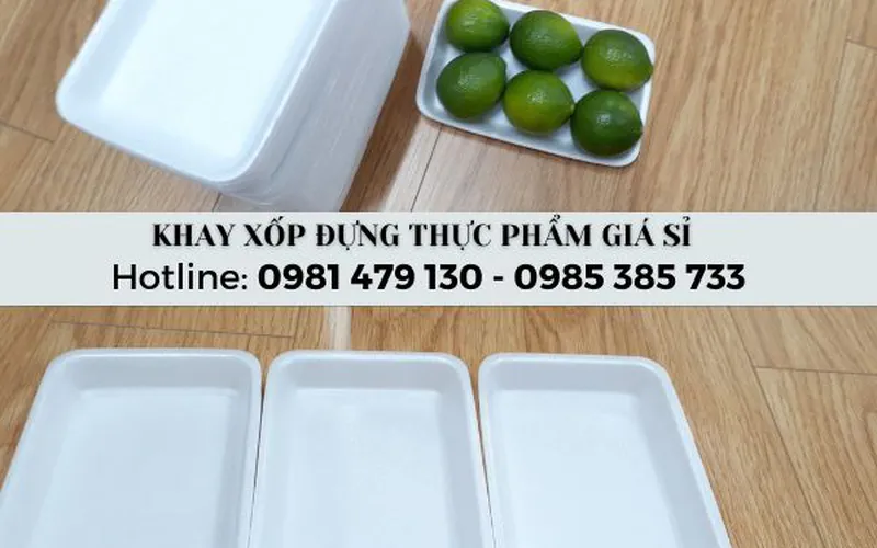 Công Ty Cung Cấp Khay Xốp Đựng Thực Phẩm Giá Sỉ Tại Kho TPHCM