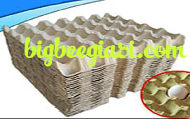 BÁN VỈ GIẤY NUÔI DẾ GIÁ RẺ NHẤT TPHCM