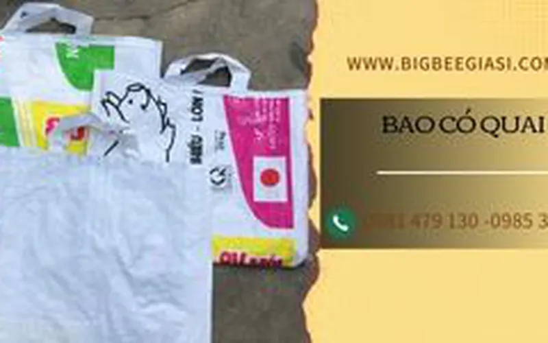 Bao có quai nhiều kích thước giá rẻ ở đâu?