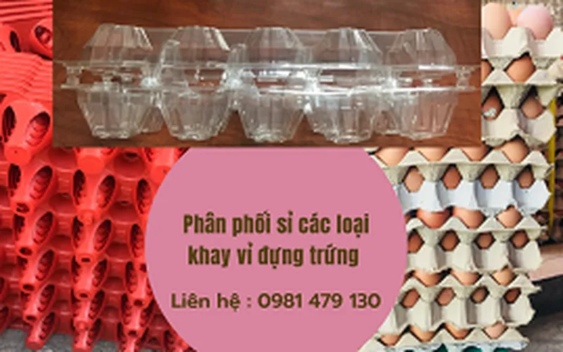 Gia công khay - vỉ nhựa đựng trứng tại Tp.HCM