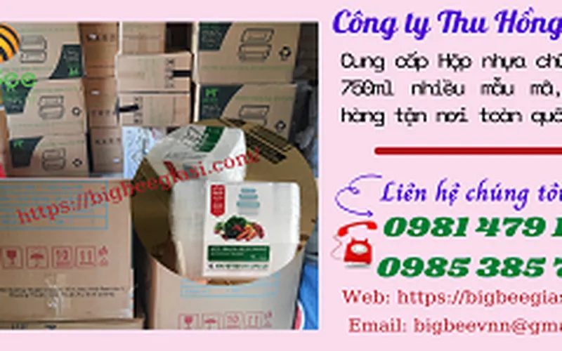 Cung cấp hộp nhựa chữ nhật 750ml nhiều mẫu mã