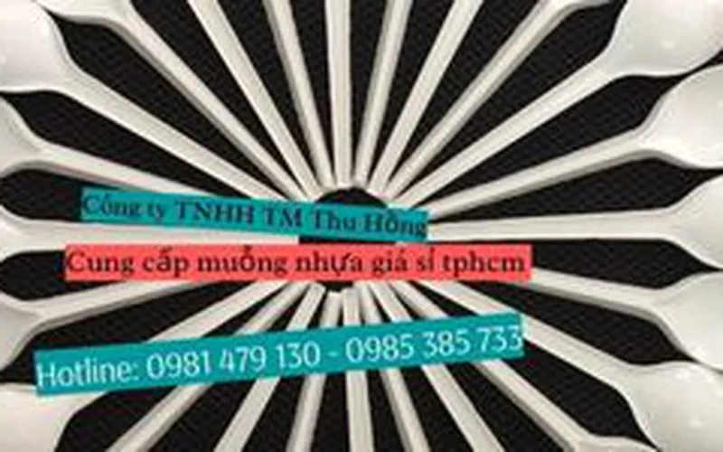 Sỉ giá rẻ các loại  muỗng cơm - xôi - sữa chua dùng 1 lần tại TpHCM