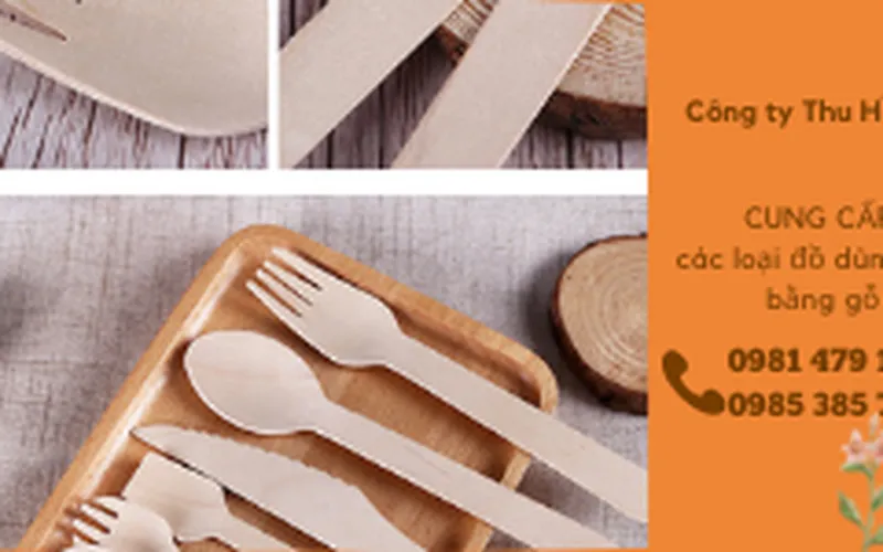 Nơi bán dao, muỗng, nĩa, đũa gỗ dùng 1 lần giá rẻ tại TpHCM