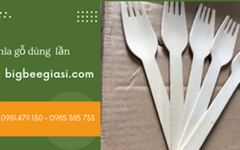 Dao, nĩa gỗ 1 thùng 1000 cái giá sỉ rẻ tại TpHCM