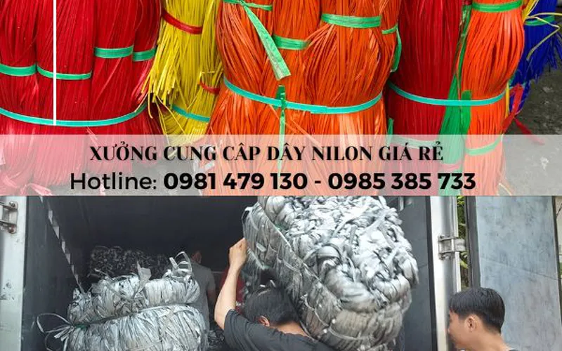 Dây buộc nilon sợi cứng PP – Giá sỉ rẻ, hàng dẻo dai bền chắc, đủ màu 
