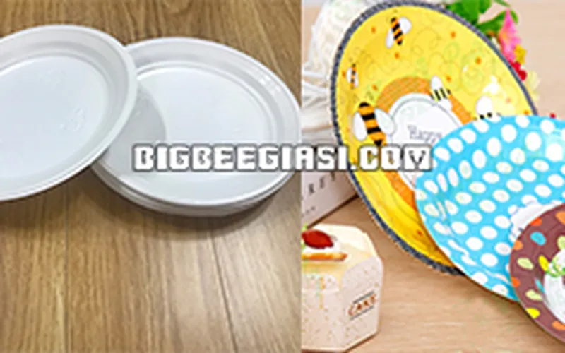 MUA ĐĨA GIẤY DÙNG 1 LẦN GIÁ RẺ Ở ĐÂU