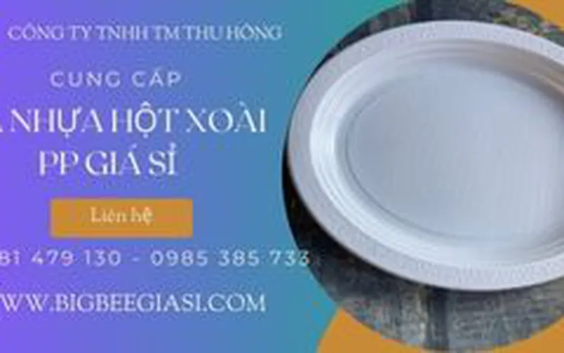 Dĩa hột xoài nhựa lớn 28 x21cm giá tốt nhất tại TpHCM