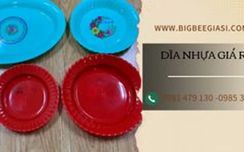 Gợi ý địa chỉ cung cấp dĩa nhựa giá rẻ cho gia đình