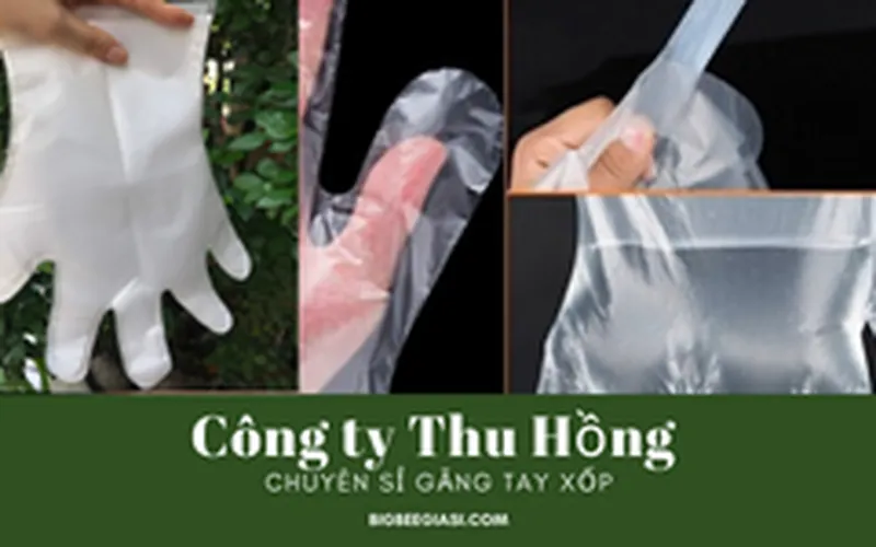 Nơi bán găng tay xốp(nilon)  giá rẻ ở đâu?
