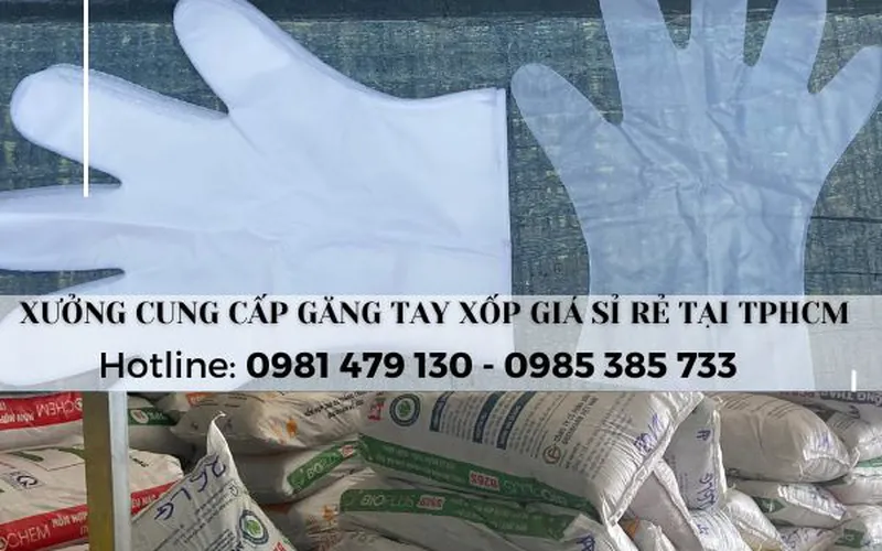 Chuyên Sỉ Bao Tay Nilon Dùng Một Lần tại TPHCM – Giá Gốc Tận Xưởng