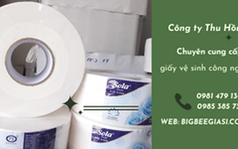 Nơi bán giấy vệ sinh sola cuộn lớn 700g giá rẻ, chất lượng