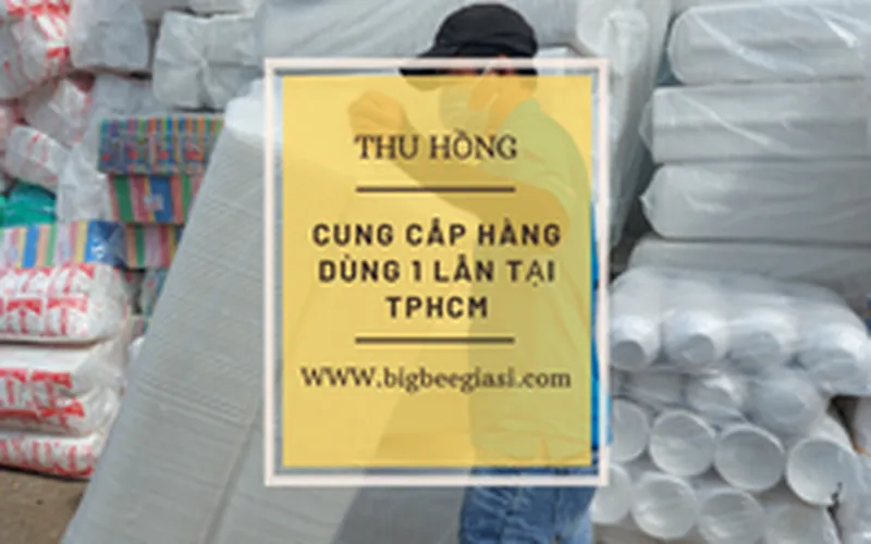 Túi xốp, hộp cơm, muỗng đũa dùng 1 lần giá rẻ cho đại lý, quán ăn