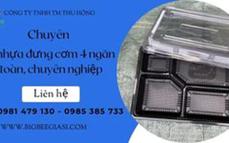 Hộp nhựa 4 ngăn HT25 đế đen nắp trong đựng cơm phần, bún đậu, trái cây cắt sẵn