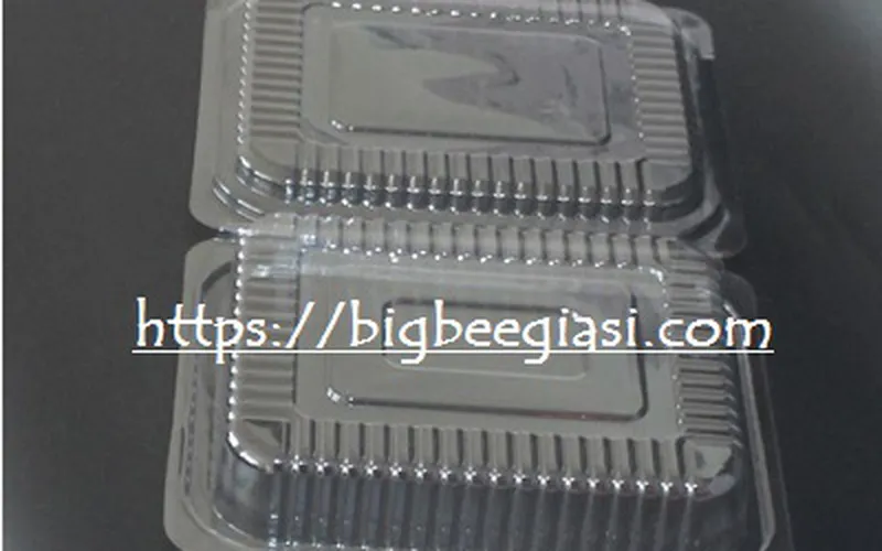 HỘP NHỰA H30 TRONG SUỐT - MỎNG - ĐẸP GIÁ RẺ TẠI TPHCM