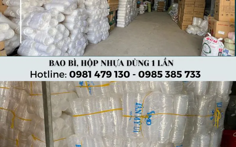 Nơi bán sỉ các loại hộp nhựa dùng 1 lần giá rẻ tại TpHCM