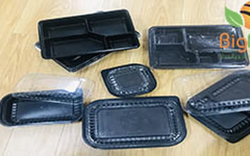 Cung cấp sỉ hộp nhựa đựng cơm 1, 2, 3, 4, 5 ngăn dùng 1 lần giá tốt