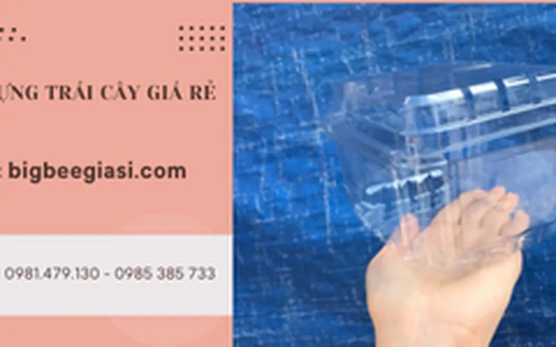 Hộp nhựa đựng trái cây P500D chuyên đựng 500gr dây tây, nho, cherry.