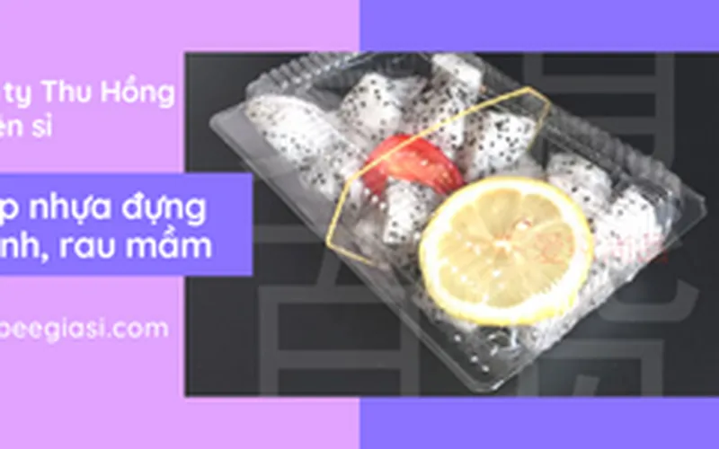 Sỉ Hộp nhựa H30 - H50 - H55 đựng bánh su kem, bánh bông lan, rau mầm