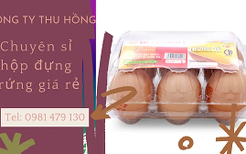 Nhà cung cấp Vỉ nhựa pet đựng trứng gà 6 quả, 10 quả