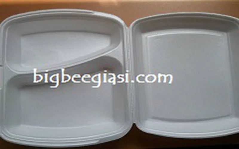 BÁN HỘP XỐP 2 NGĂN ĐỰNG CƠM, ĐỰNG THỨC ĂN GIÁ SỈ TẠI TPHCM