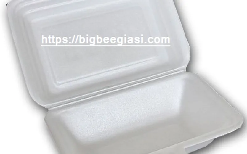 CHUYÊN SỈ & LẺ HỘP XỐP ĐỰNG CƠM, ĐỰNG NUI XÀO GIÁ RẺ TẠI TPHCM