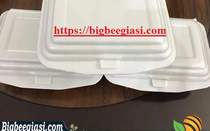 PHÂN PHỐI SỈ HỘP XỐP VUÔNG GIÁ RẺ CHẤT LƯỢNG TẠI BÌNH TÂN