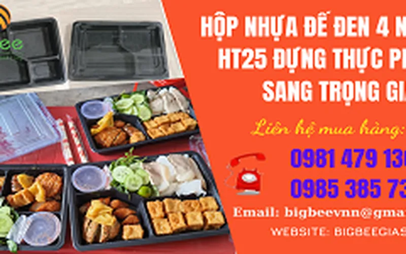 Khay 4 ngăn HT25 đựng thực phẩm, cơm phần sang trọng giá rẻ