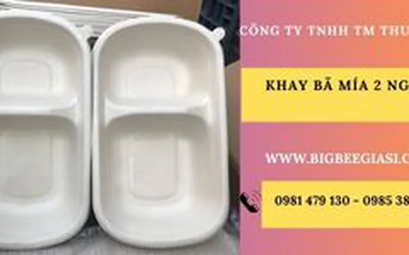 Mua Khay hộp bã mía 2 ngăn giá rẻ tại TpHCM