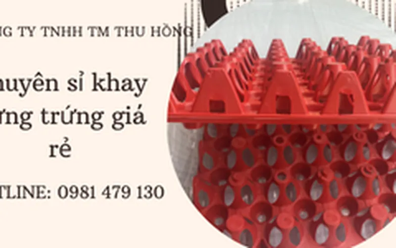 Cung cấp Khay nhựa thu gom, phân loại trứng gà vịt sau đẻ.