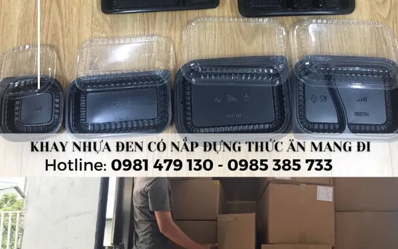 Nơi bán khay nhựa đen giá rẻ đựng thực phẩm đông lạnh