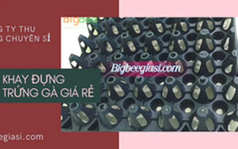 Đại lý sỉ giá rẻ khay đựng trứng bằng nhựa màu đen loại 30 quả