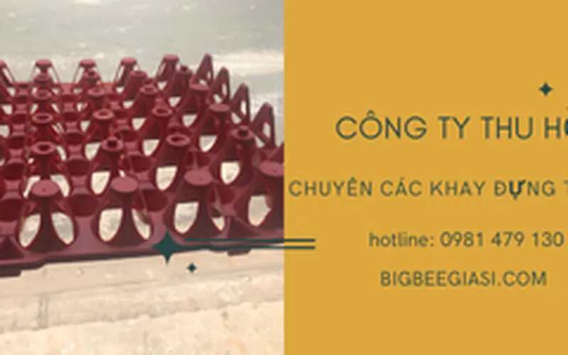 Bỏ sỉ Khay nhựa đựng trứng 30 quả màu đỏ giá rẻ Tp.HCM.
