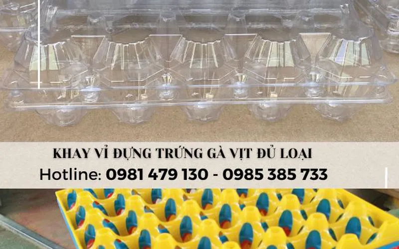 Kho bỏ sỉ vỉ nhựa đựng trứng cho các đơn vị kinh doanh trứng
