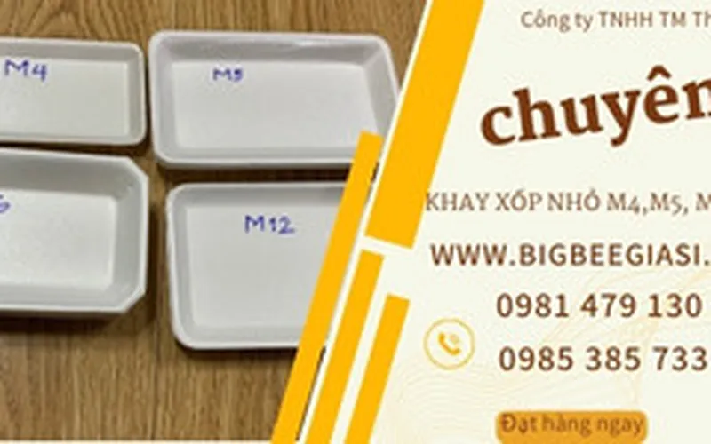 Bỏ sỉ Khay xốp M4, M5, M6, M12 các loại giá rẻ nhất