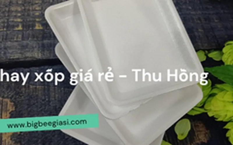 Mua Khay đựng thực phẩm bằng xốp cho siêu thị