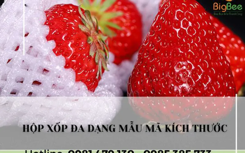 Xốp lưới bọc trái cây (size 15cm, 16cm, 20cm, 22cm, 25cm, 28cm) có cắt theo yêu cầu