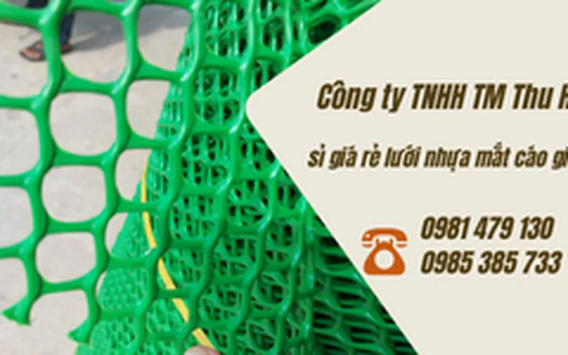Nơi bán lưới nhựa xanh mắt cáo giá tốt tại TP.HCM