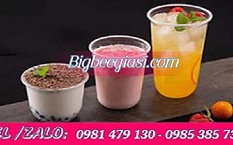BÁN LY NHỰA ĐÁY BẦU GIÁ RẺ TẠI TP.HCM