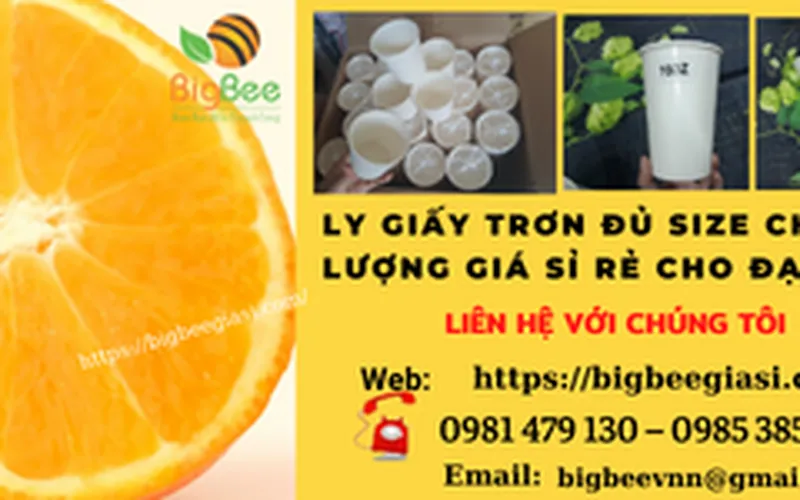 Ly giấy trơn chất lượng giá sỉ rẻ cho đại lý