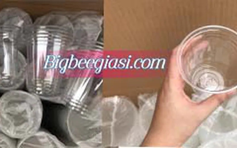 Ly nhựa PET - ly nhựa PP là gì? Địa chỉ phân phối sỉ ly nhựa dùng 1 lần TP.HCM