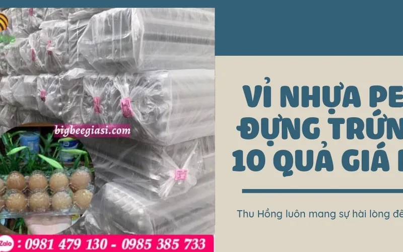 Mua vỉ nhựa PET đựng trứng gà 10 quả giá rẻ ở đâu?