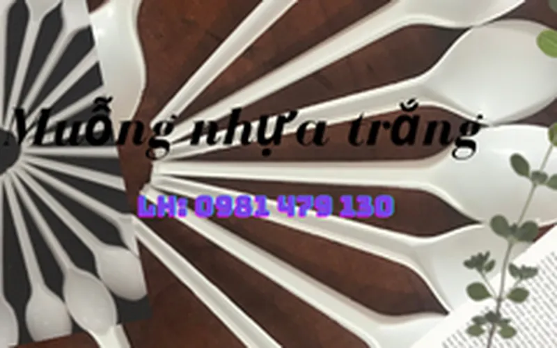 Bán muỗng nhựa trắng cho đại lý, quán cơm