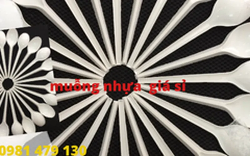 Mua muỗng nhựa dùng 1 lần giá rẻ ở đâu