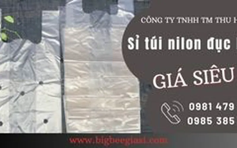 Túi nilon 2 quai đục lỗ 5kg, 10kg, 15kg, 20kg