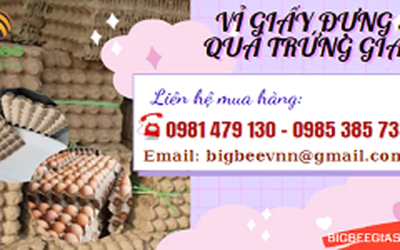 Tìm nơi bán sỉ vỉ giấy đựng 30 quả trứng gà vịt